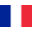 Français (France)